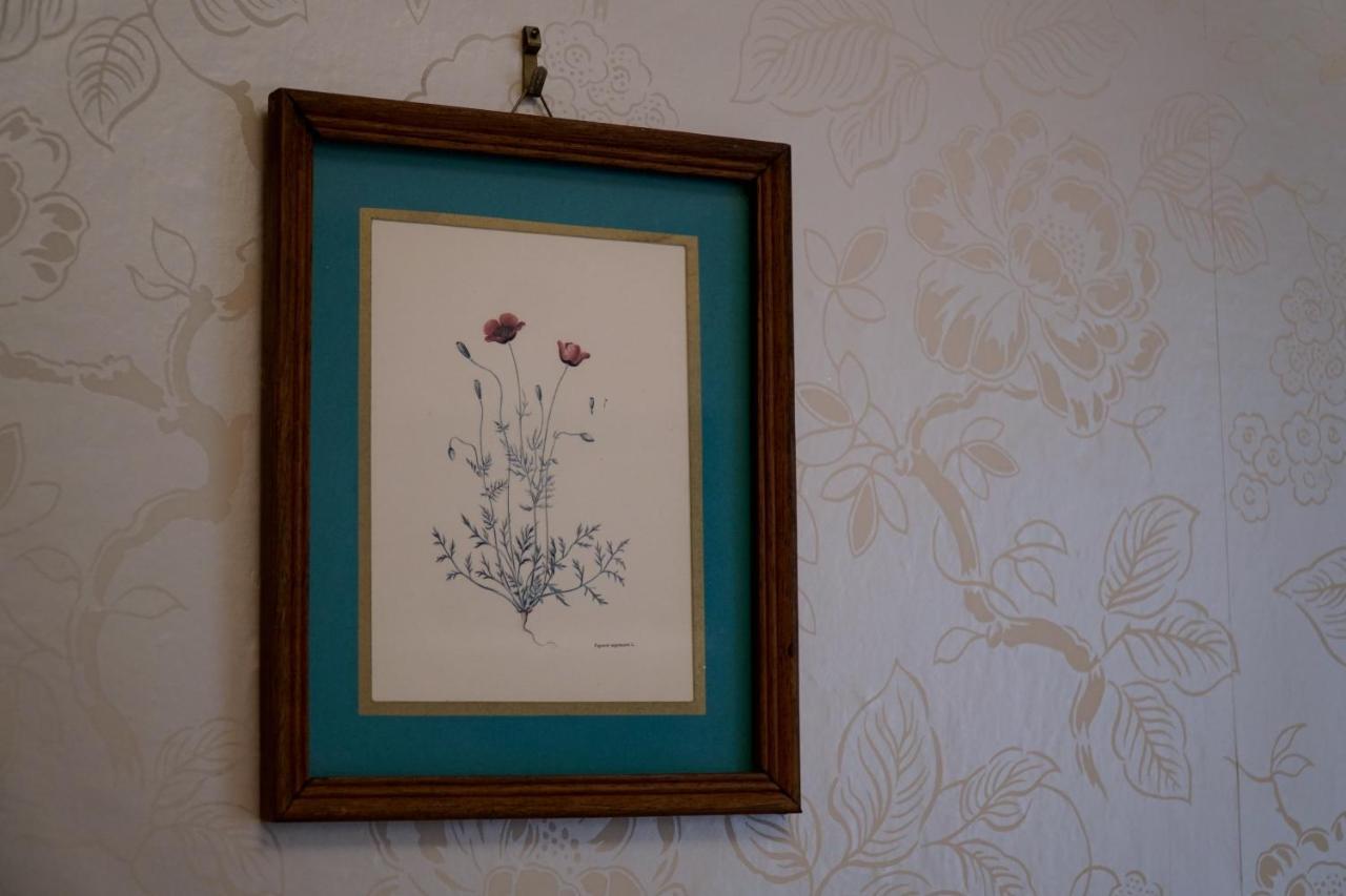 דובר Castle House Guest House מראה חיצוני תמונה